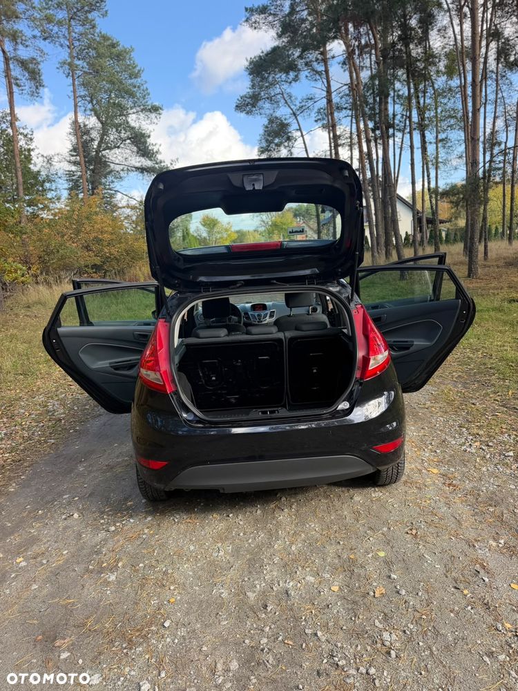 Ford Fiesta - 20