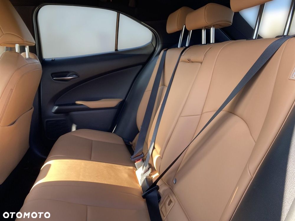 Lexus UX 250h GPF F Sport Design 2WD - 13