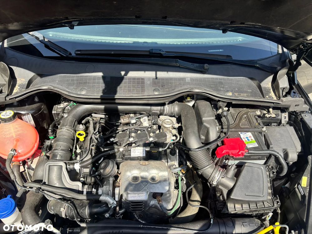 Ford Fiesta 1.0 EcoBoost ST-Line Black ASS - 19