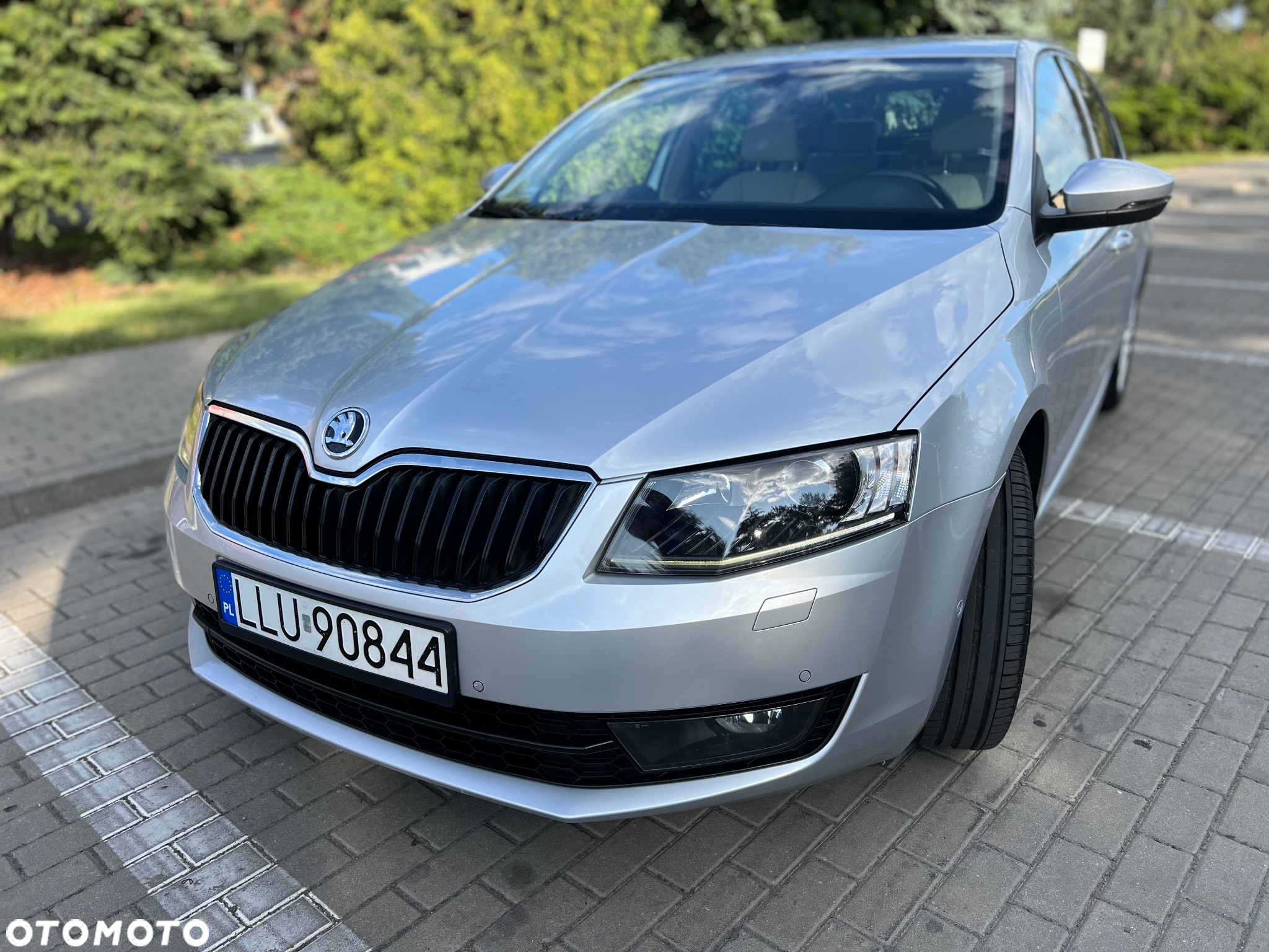 Skoda Octavia - 15