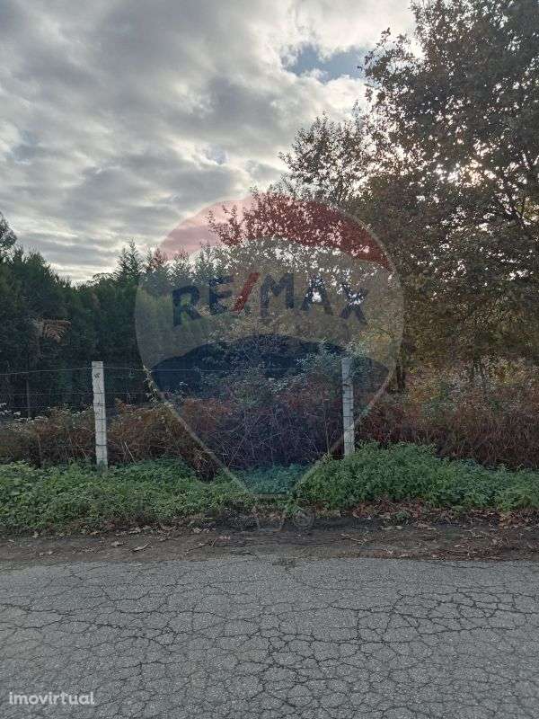 Terreno  para arrendamento - Grande imagem: 3/4