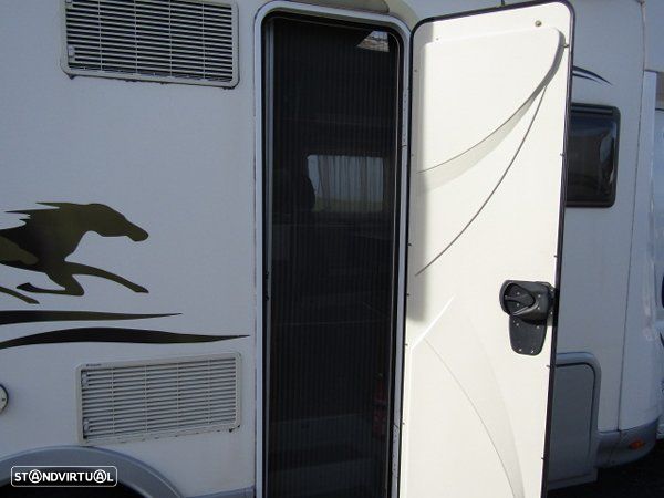 McLouis Yearling Série Limitada - 28