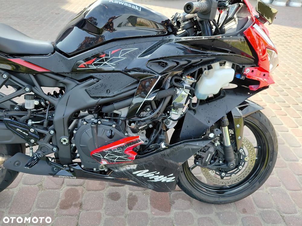 Kawasaki Ninja - 10