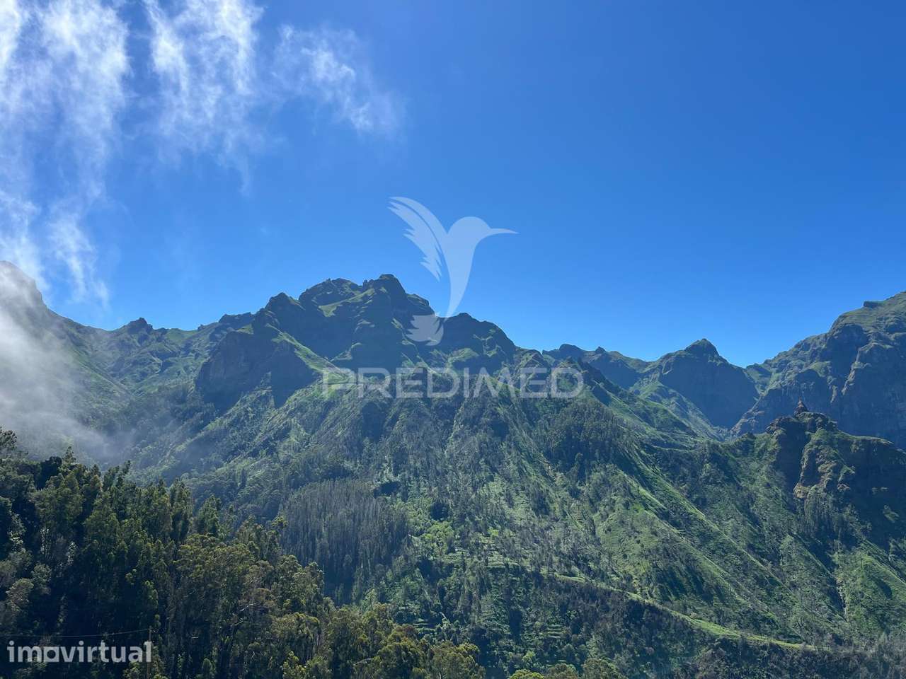 Terreno de Sonho na Serra de Água – 3.000 m² com 2 palheiros de Nat... - Grande imagem: 5/8
