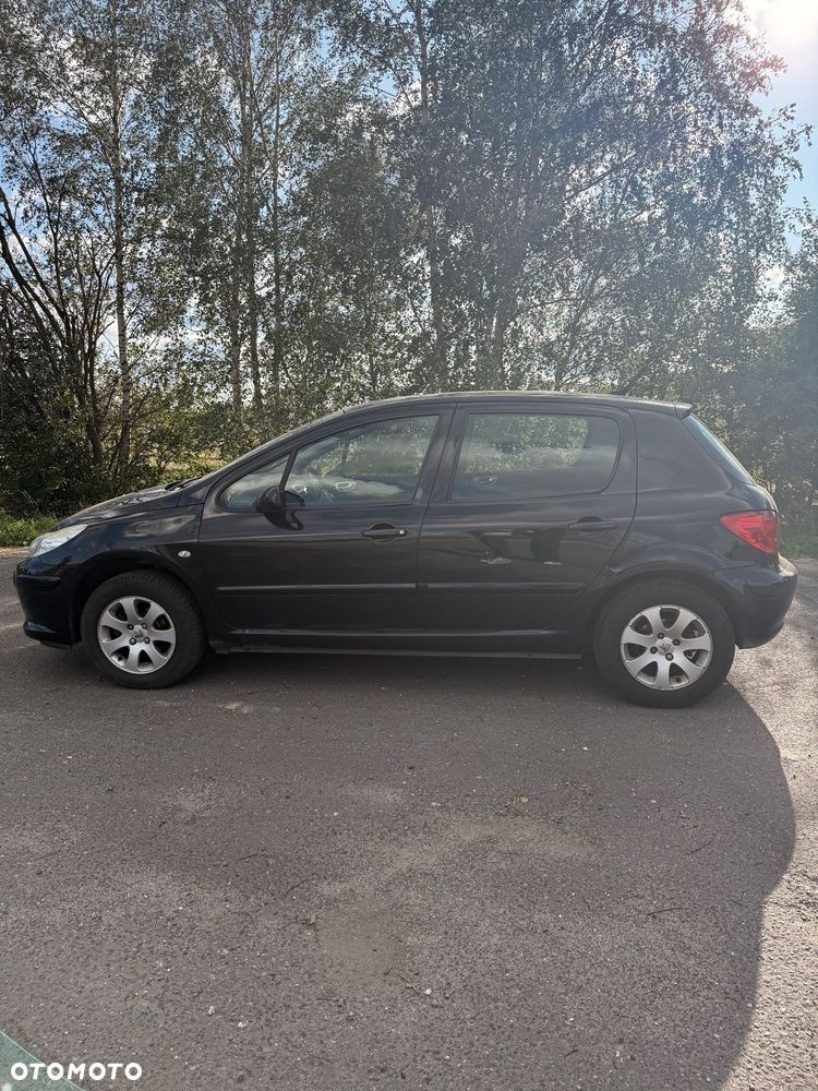 Peugeot 307 1.6 - 8