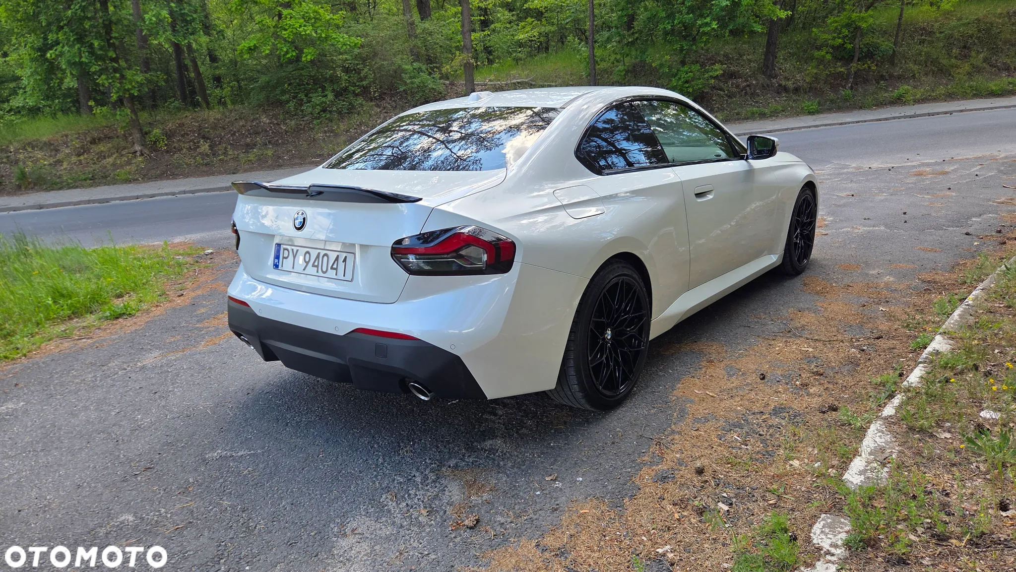 BMW Seria 2 220i Coupe Advantage - 12