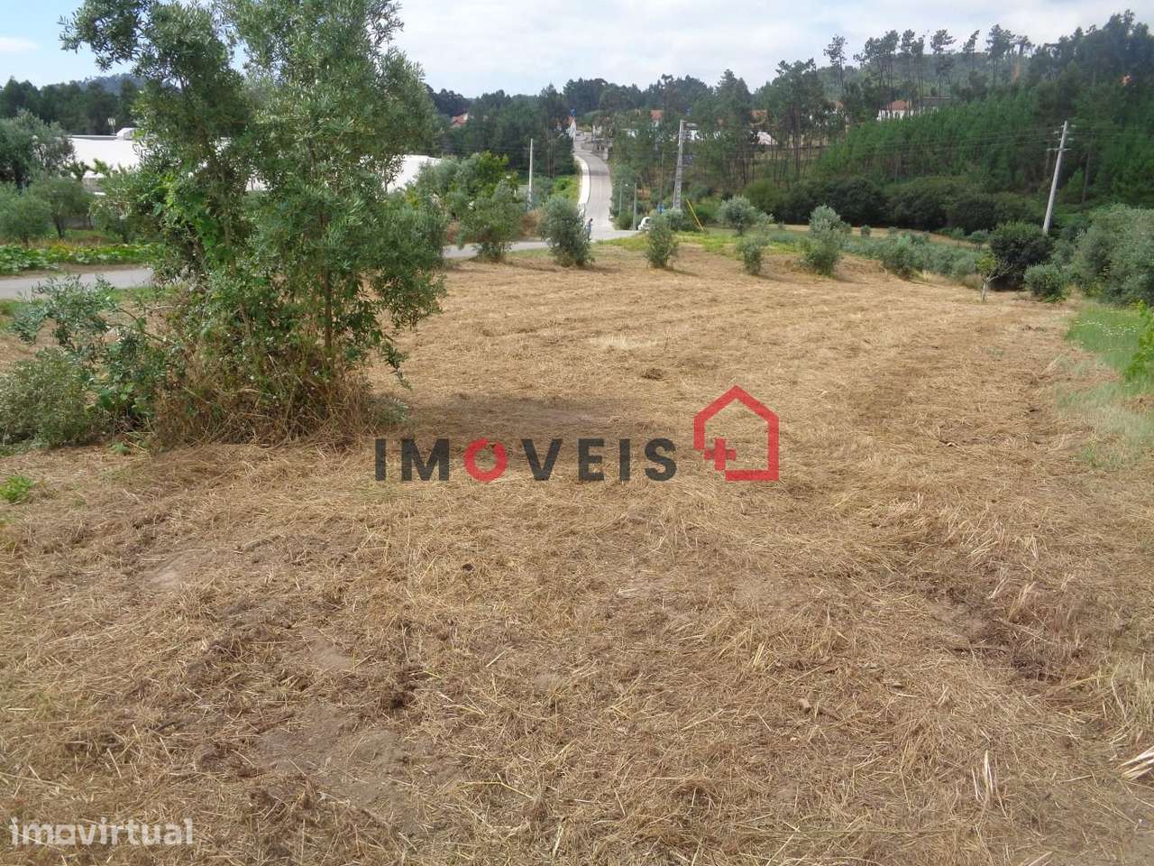 Terreno - Grande imagem: 4/5