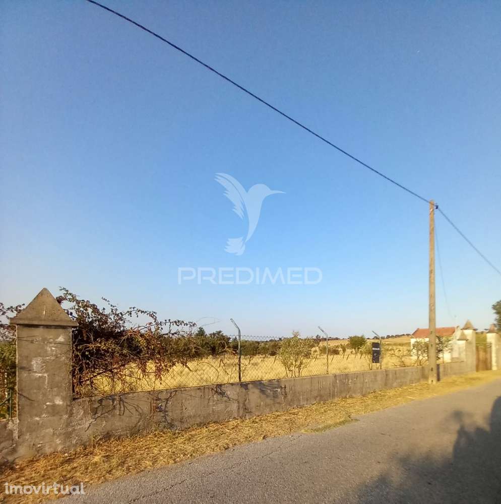 Terreno Rústico - Grande imagem: 4/4