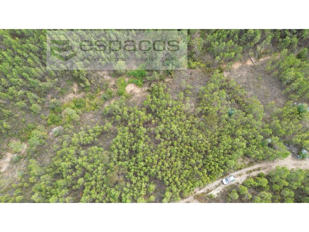Terreno - Grande imagem: 5/18