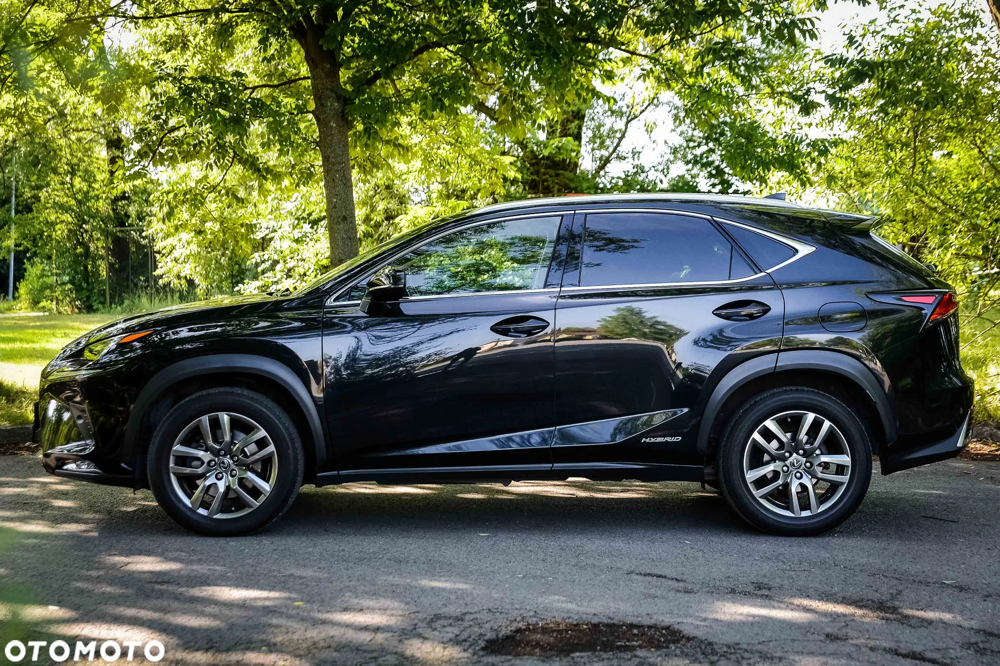 Lexus NX 300h Prestige AWD - 6