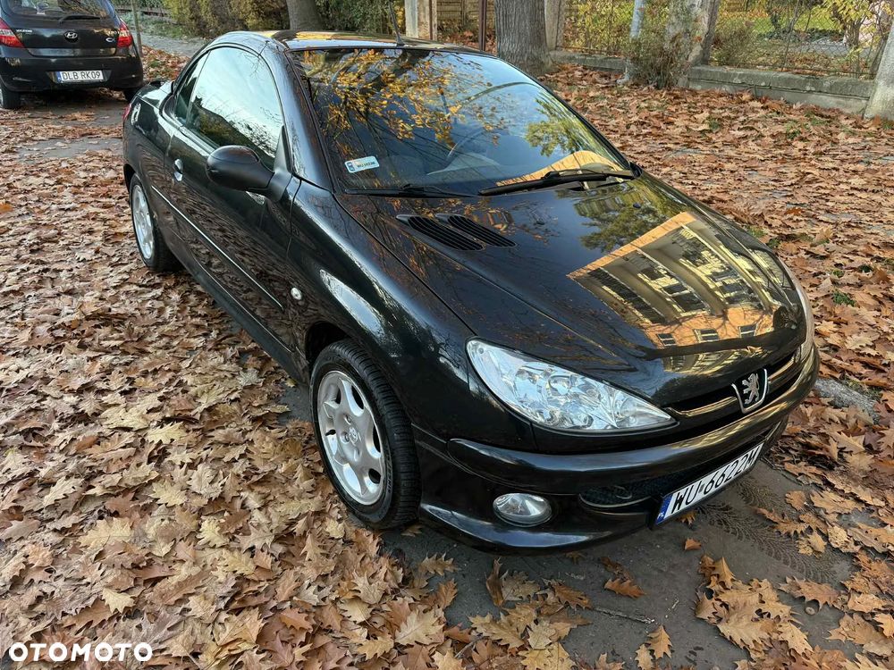 Peugeot 206 - 17