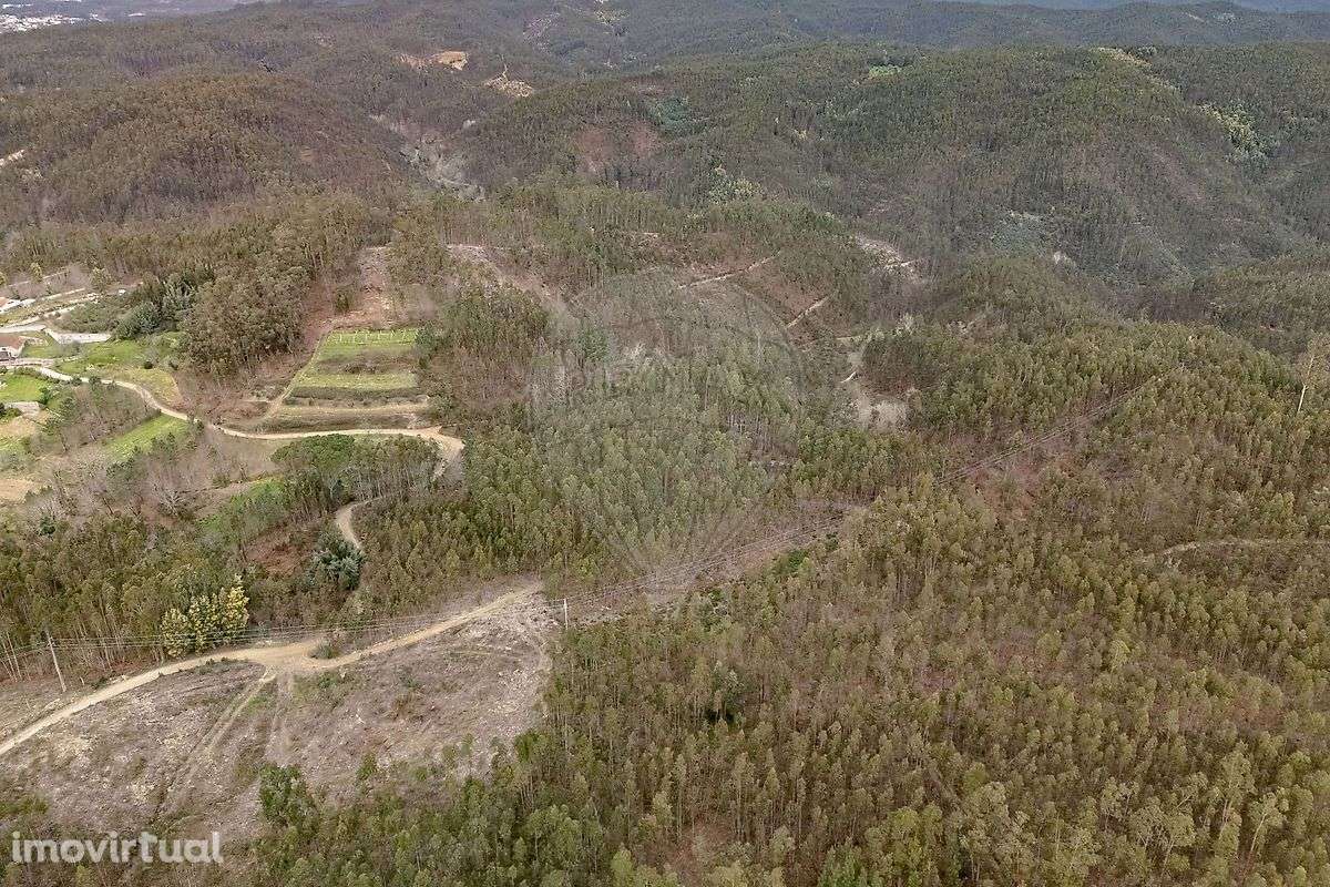 Terreno  para venda - Grande imagem: 4/7