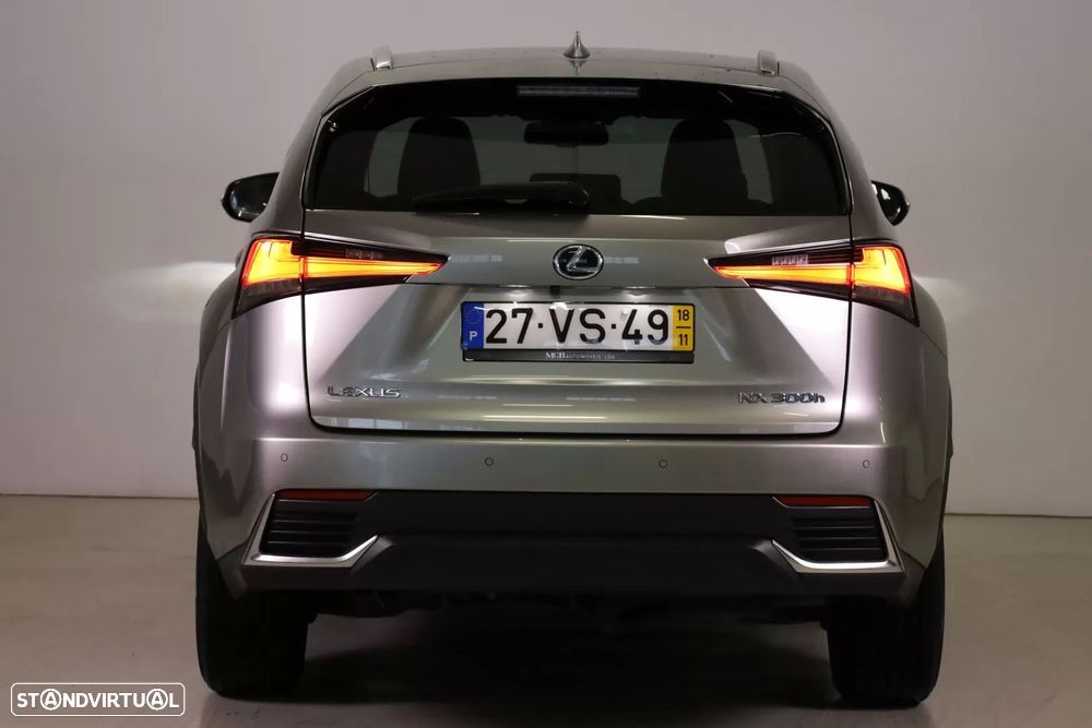 Lexus NX 300h - 20
