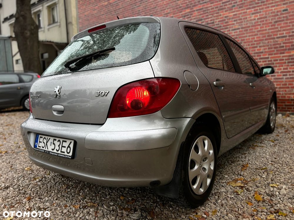 Peugeot 307 - 29