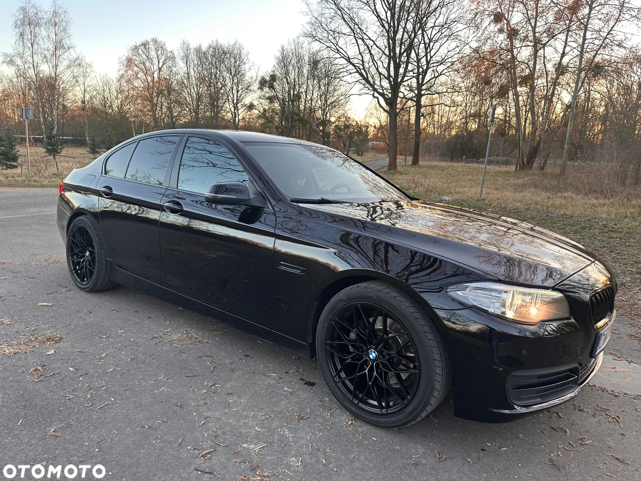 BMW Seria 5 518d Luxury Line - 8