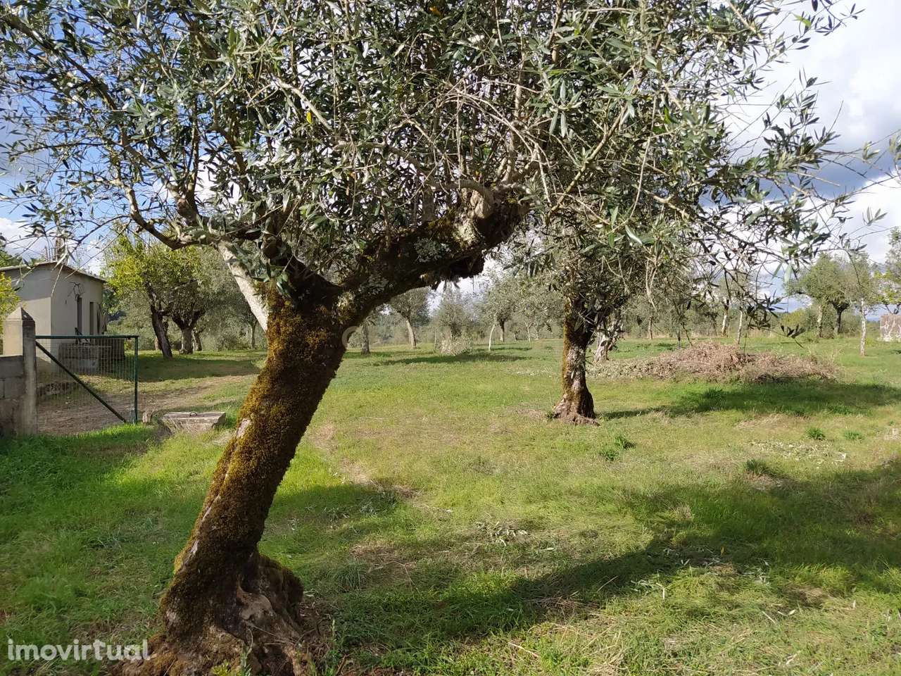 Terreno 4590M2 em Alvaiázere - Grande imagem: 4/9