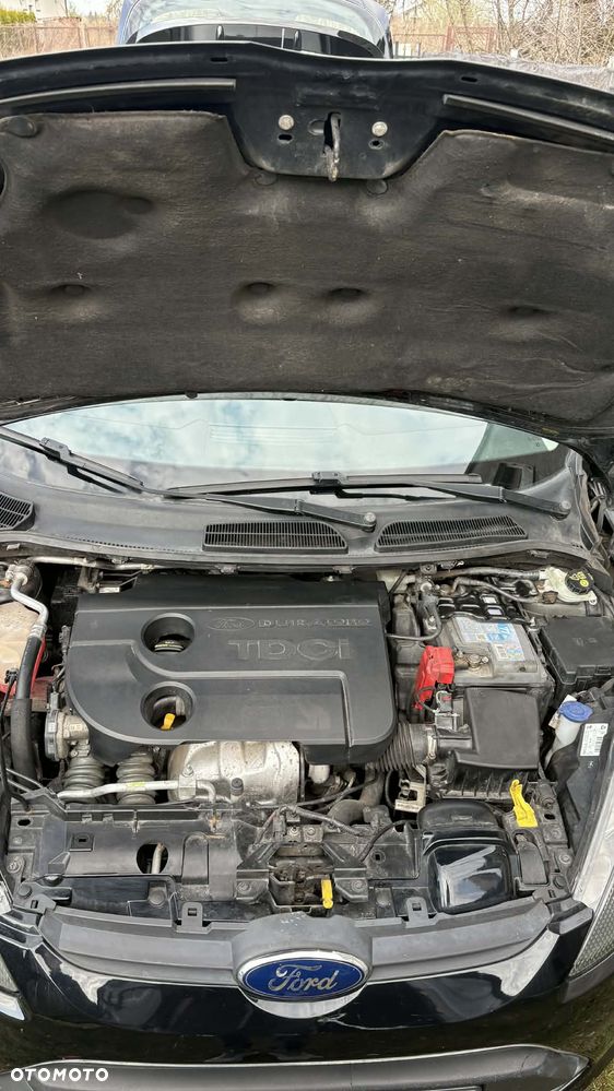 Ford Fiesta 1.6 TDCi Champions Edition - 7