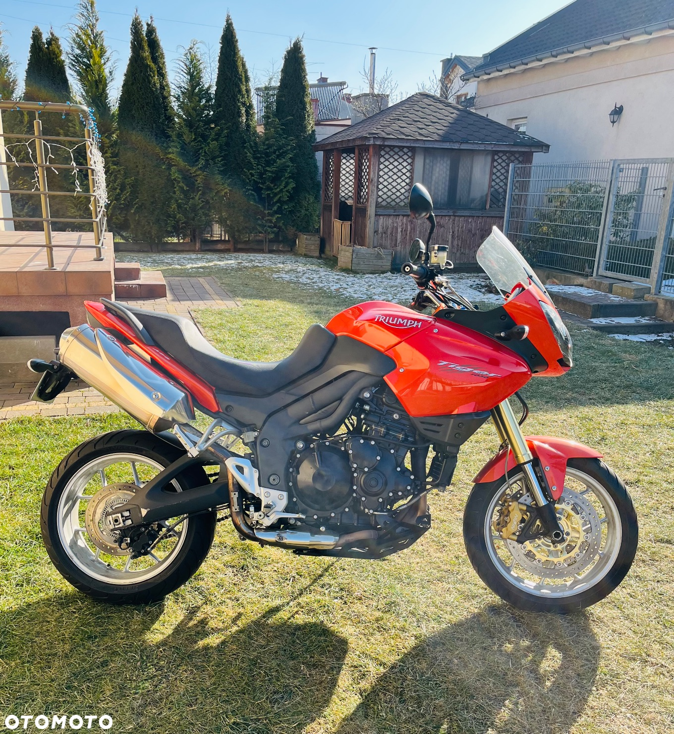 Triumph Tiger - 3