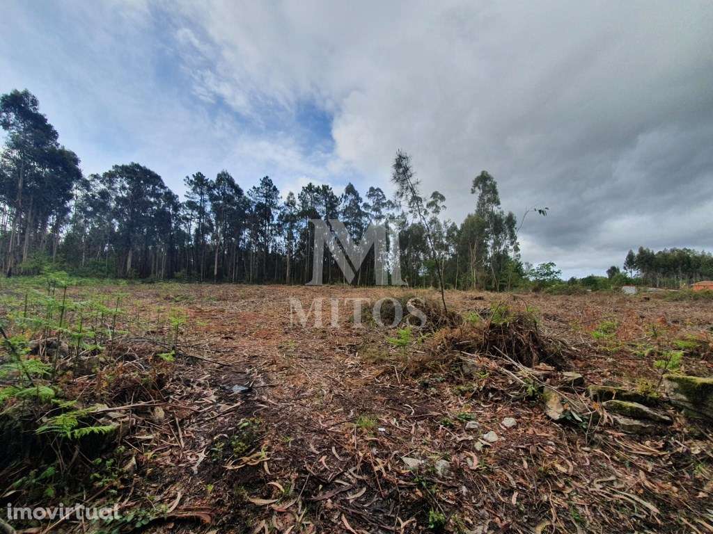 Terreno Aplanado Zona Industrial - Vila de Punhe/Barroselas - Grande imagem: 5/7