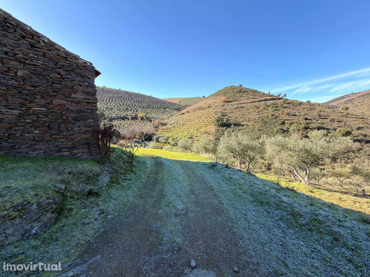 Quinta  Venda em Ligares,Freixo de Espada à Cinta - Grande imagem: 5/32