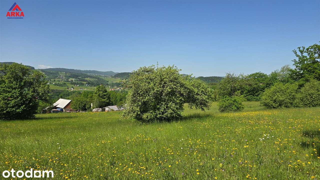 Widokowa działka z WZ – południowy stok, panorama - Pełny obrazek: 3/10
