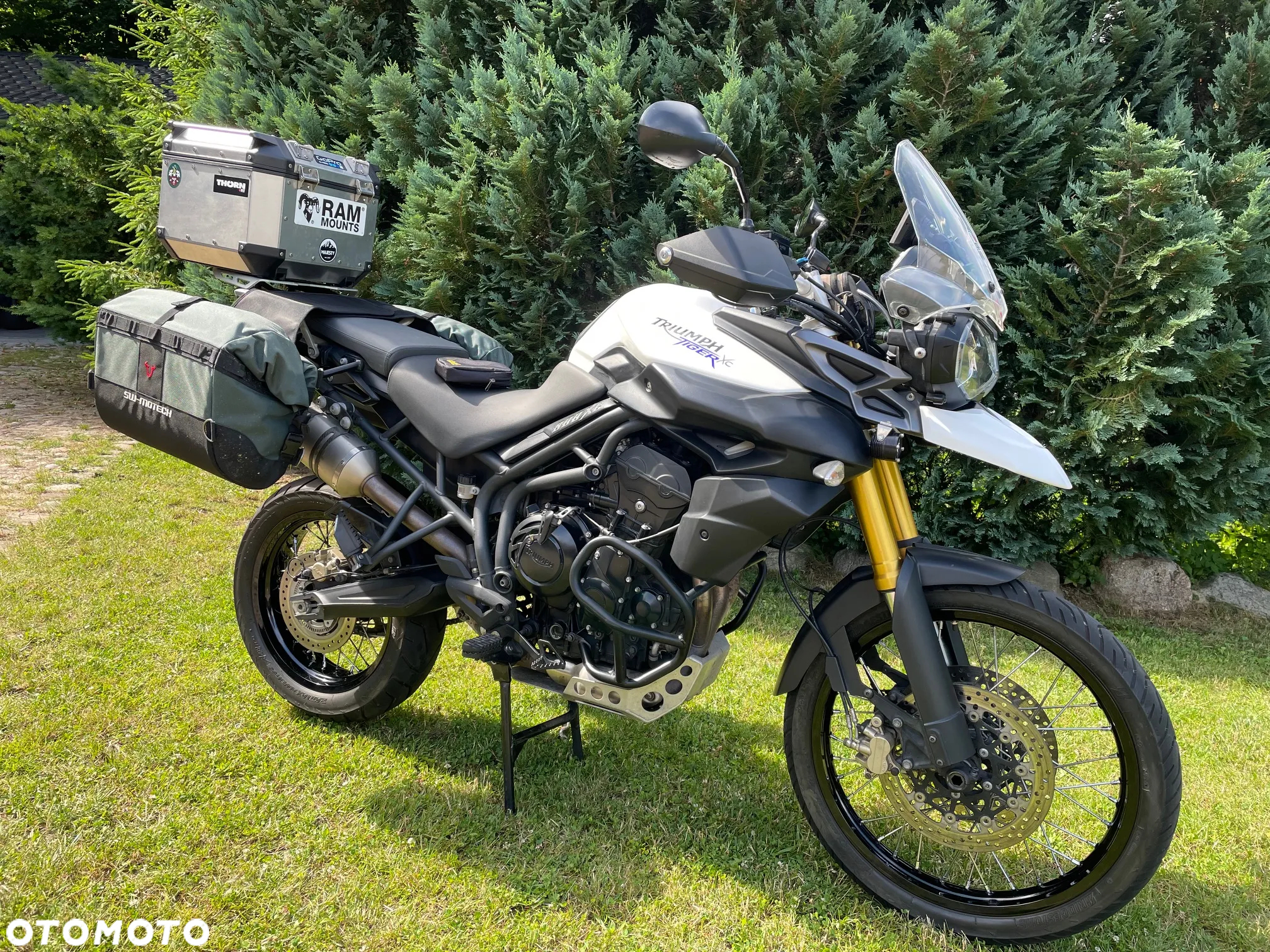 Triumph Tiger - 7
