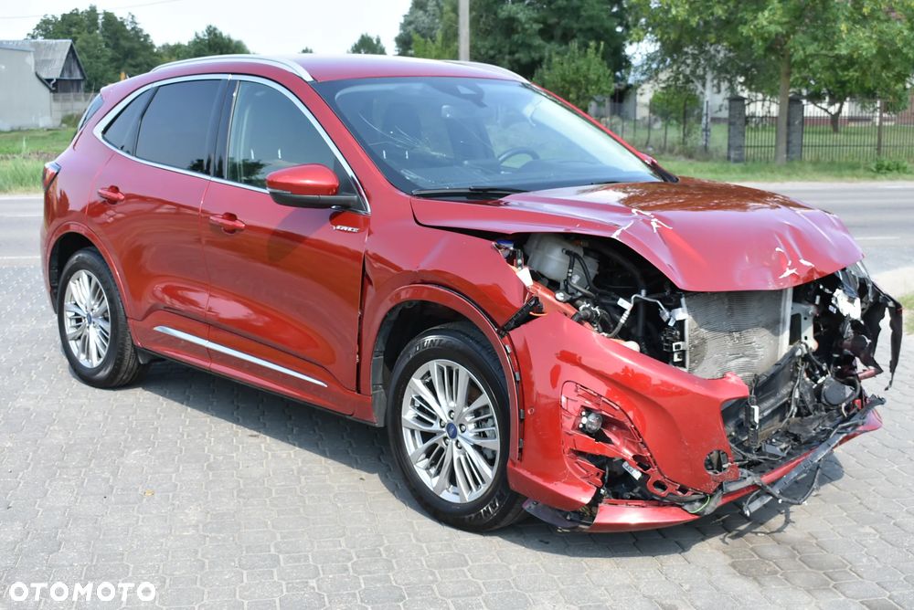 Ford Kuga 2.5 FHEV AWD eCVT - 3