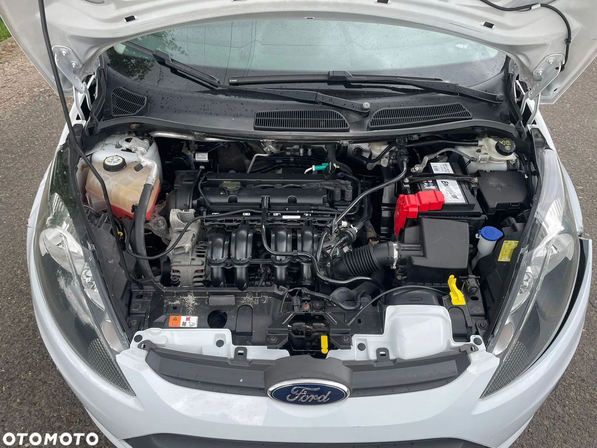 Ford Fiesta - 16