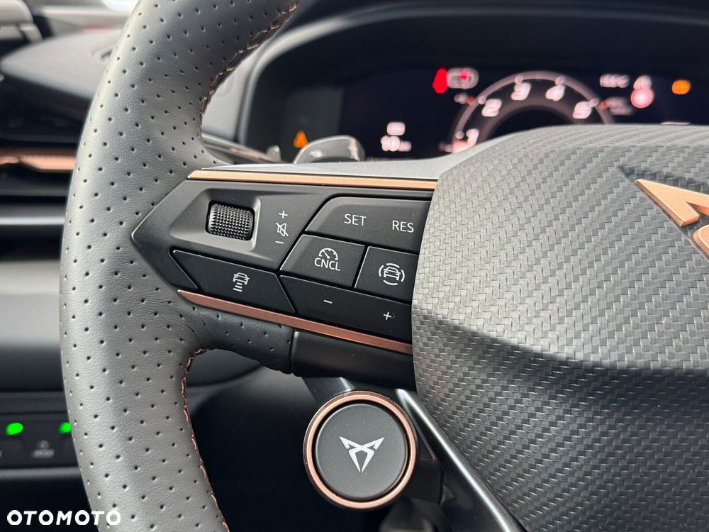 Cupra Terramar - 30