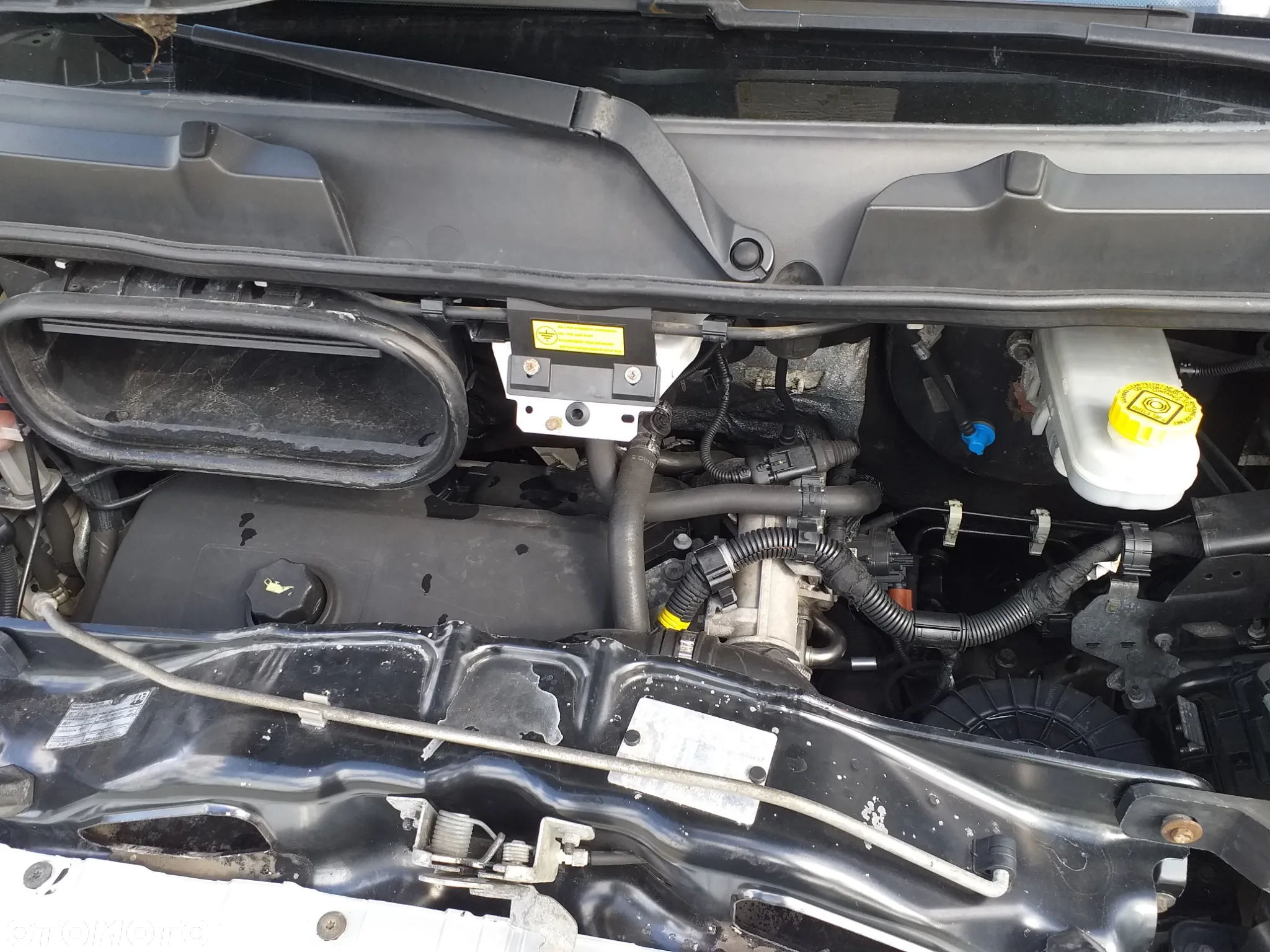Fiat DUCATO L4H2 MAXI BRYGADÓWKA 7 OSÓB NAVI KLIMA NR. 3 - 36