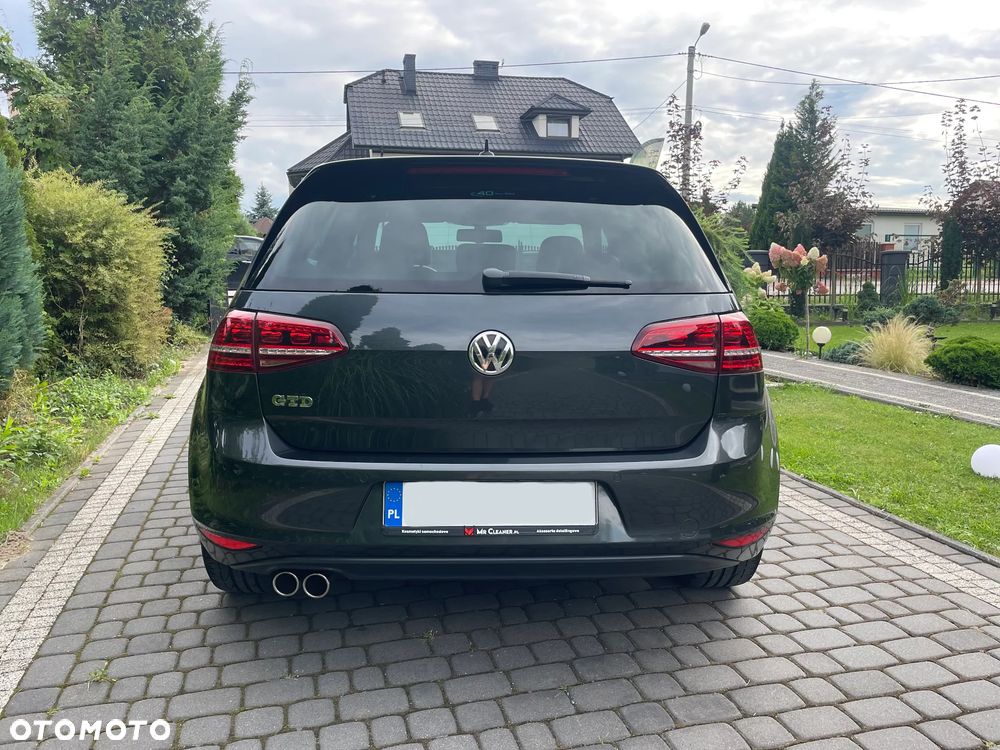 Volkswagen Golf - 31