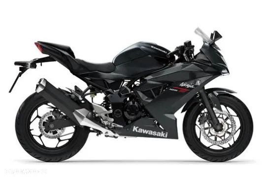 Kawasaki Ninja - 6