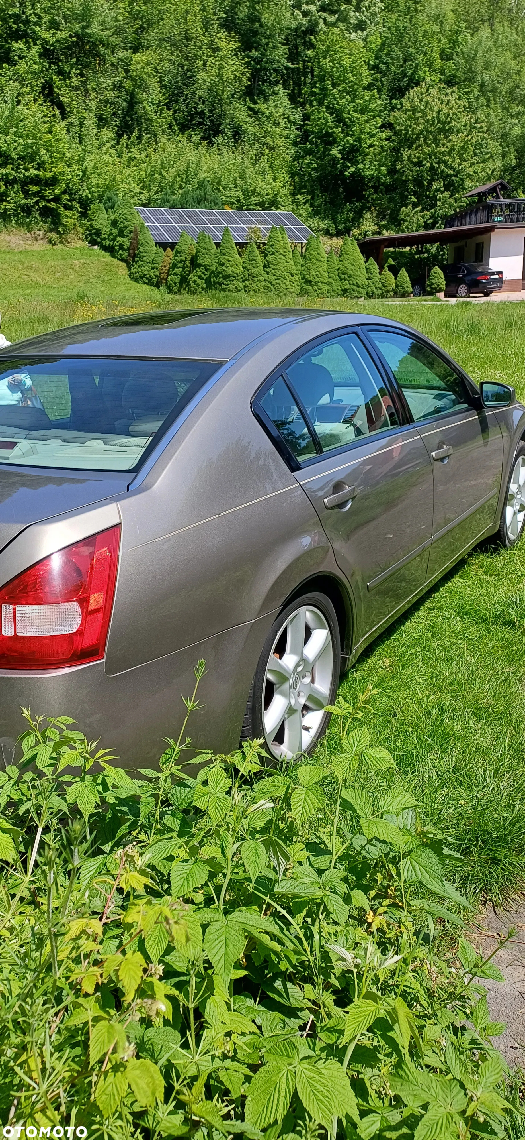 Nissan Maxima 3.5 SE - 11
