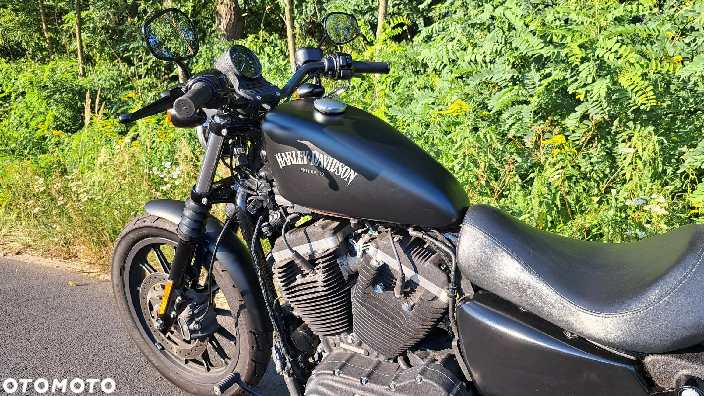 Harley-Davidson Sportster Iron 883 - 8