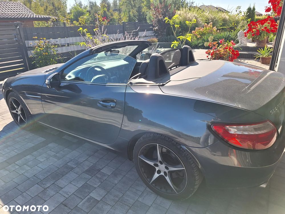 Mercedes-Benz SLK 200 (BlueEFFICIENCY) - 7