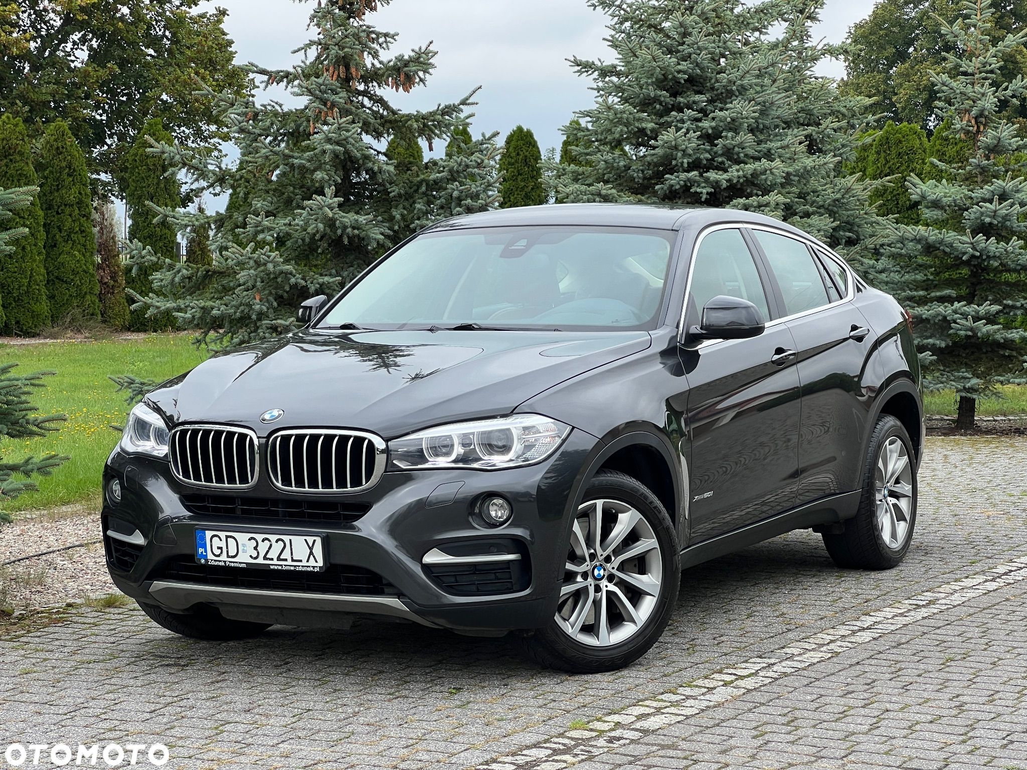 BMW X6 xDrive50i - 1