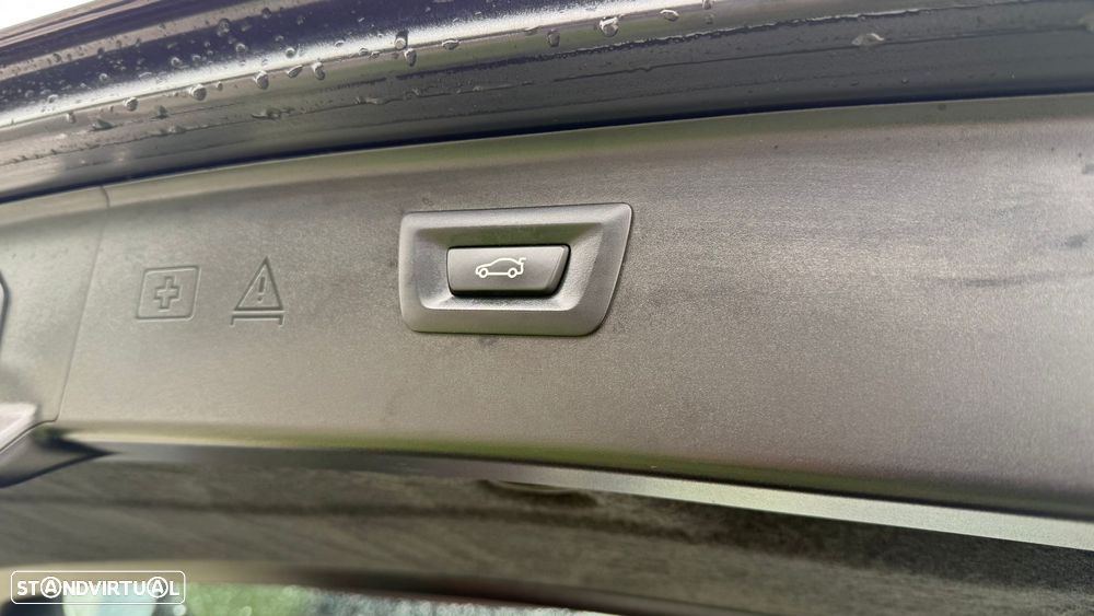 BMW 530 d xDrive Line Luxury Auto - 10