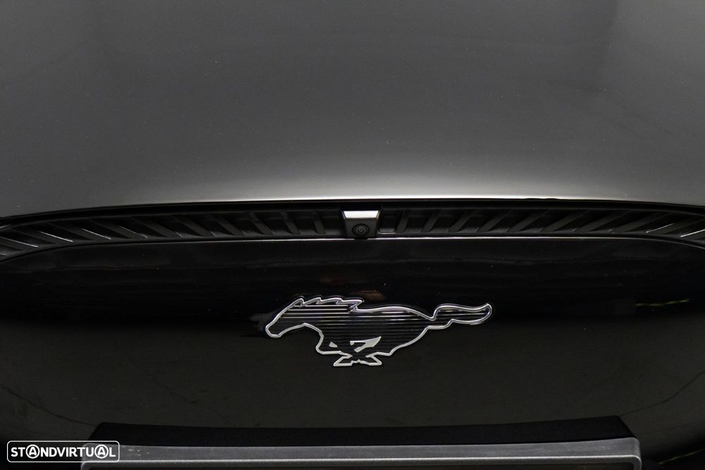 Ford Mustang Mach-E Standard - 18