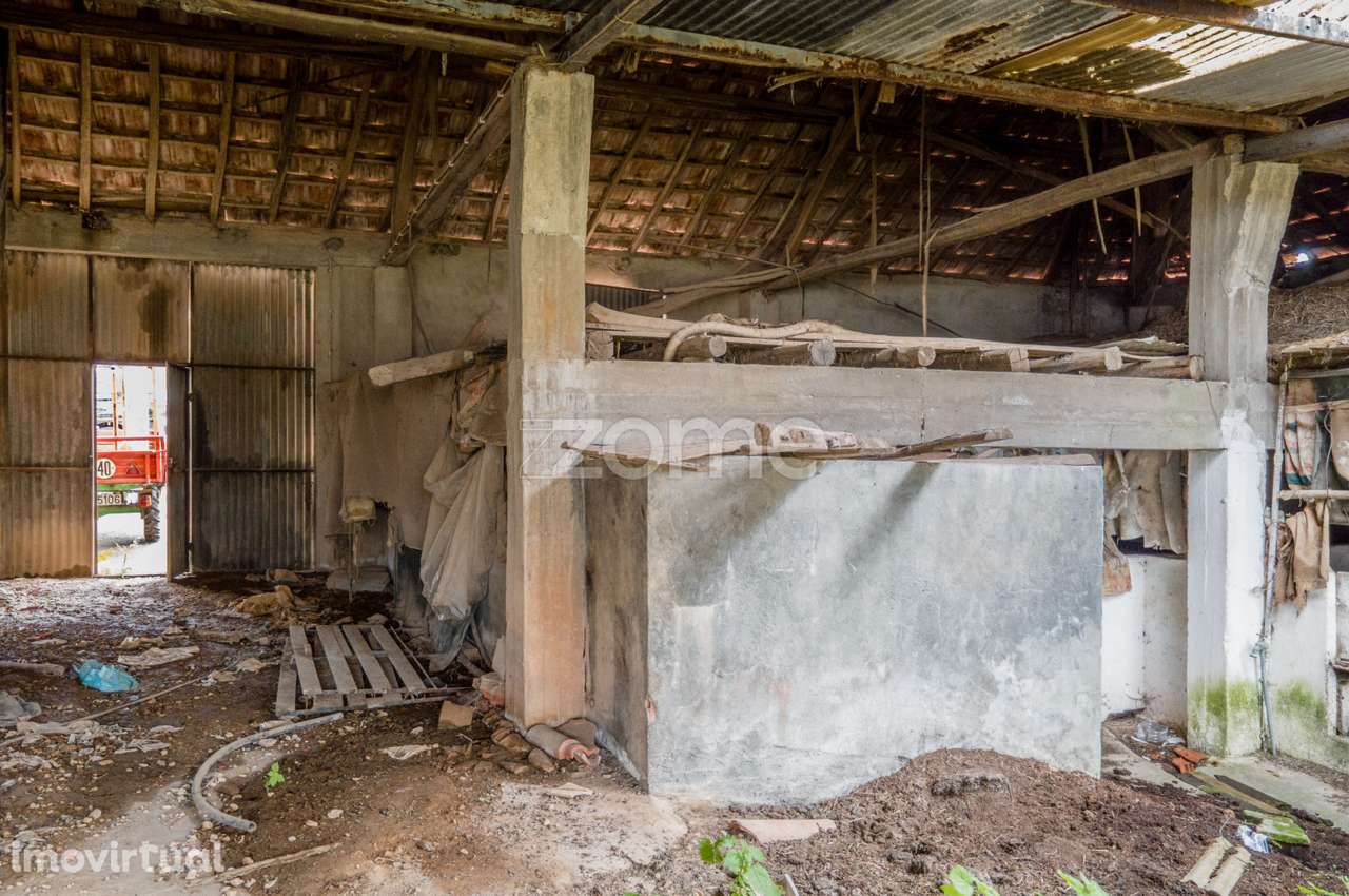 Terreno Urbanizável -Moleanos- Alcobaça - Grande imagem: 5/26