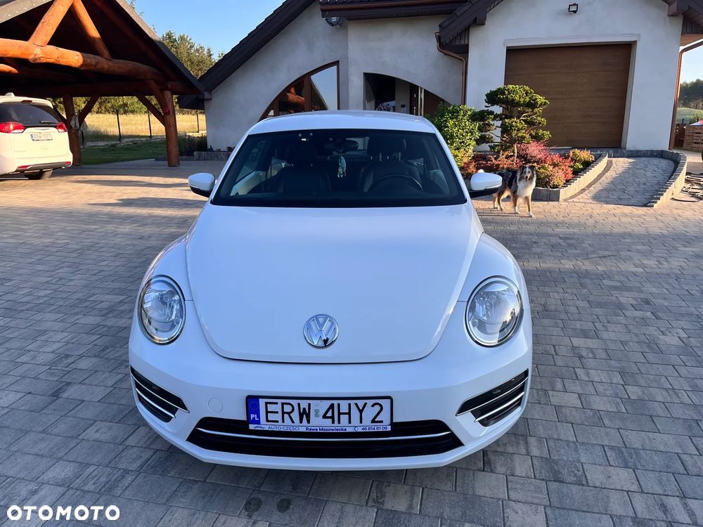 Volkswagen Beetle - 2