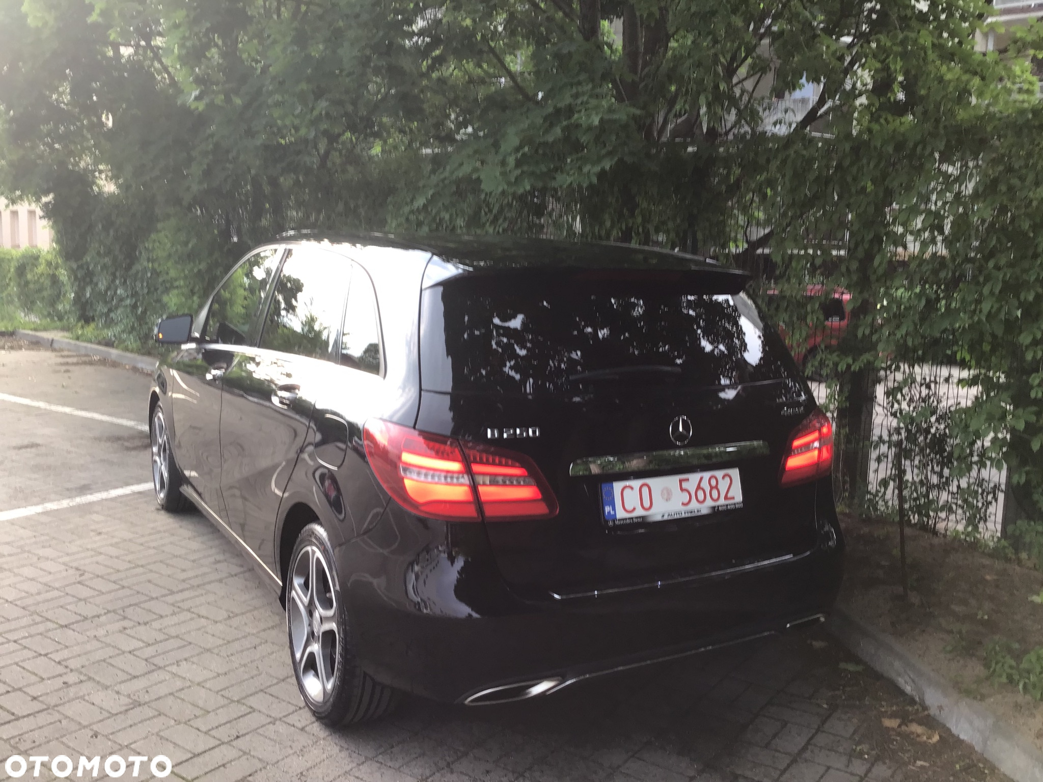 Mercedes-Benz Klasa B 250 4Matic 7G-DCT Edition - 15