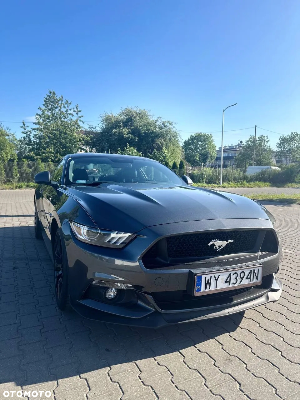 Ford Mustang 5.0 V8 GT - 15