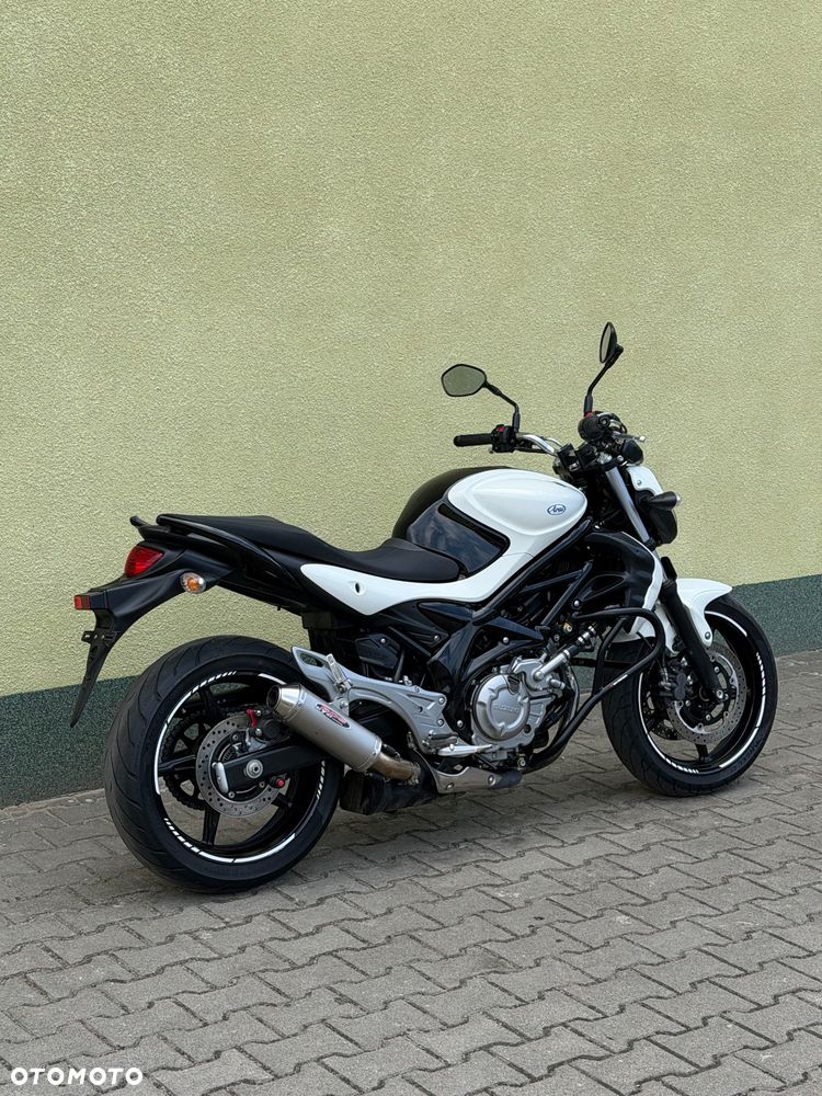 Suzuki Gladius - 10