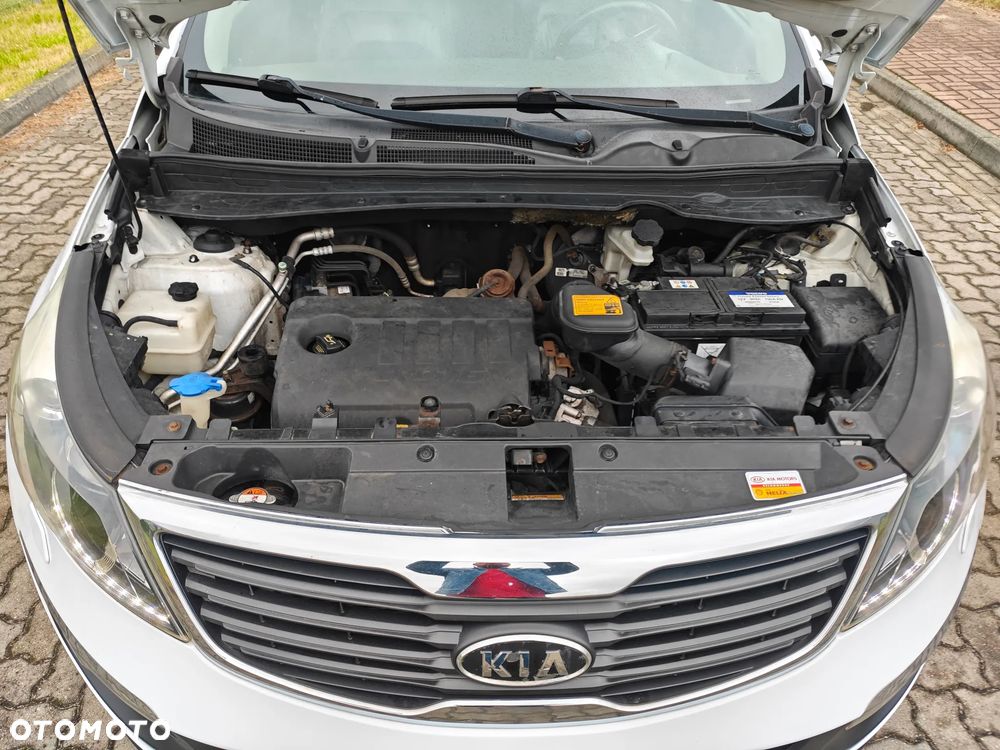 Kia Sportage - 26