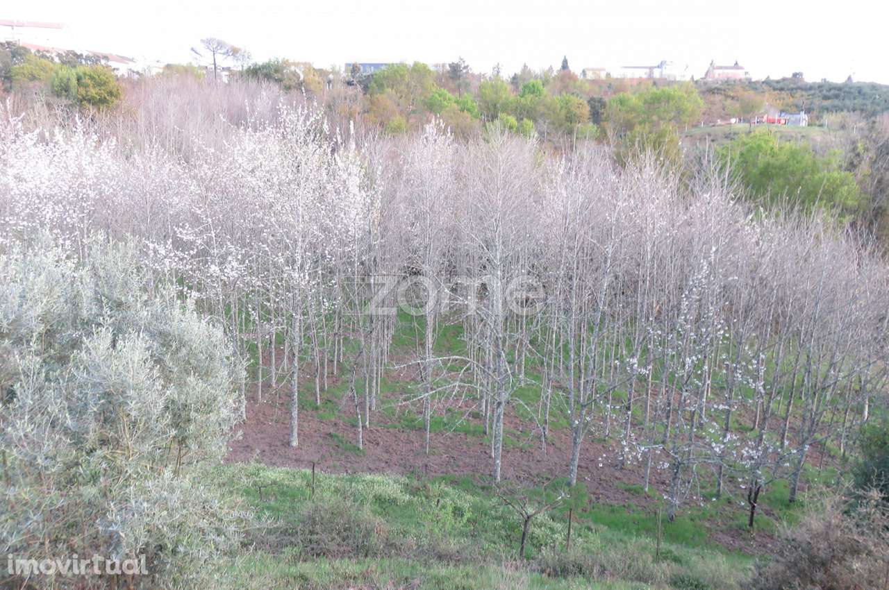 Moradia, 580 m², Nogueira do Cravo - Grande imagem: 5/29