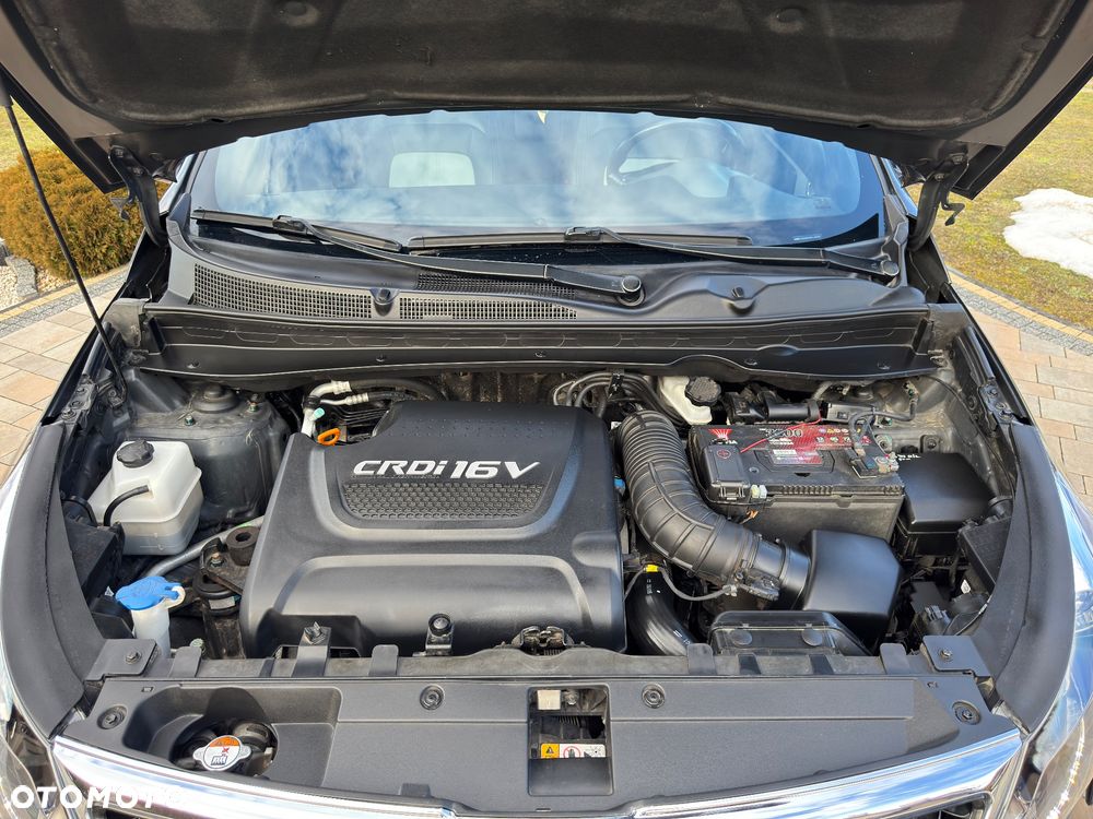 Kia Sportage - 19