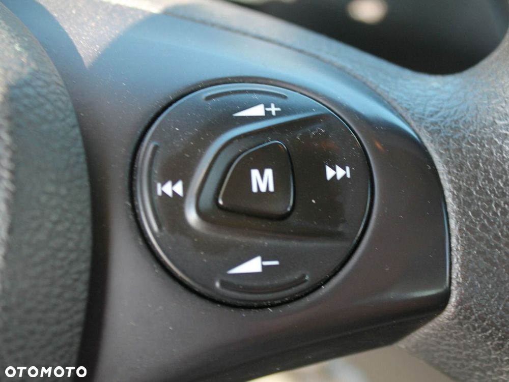 Ford Tourneo Connect - 19