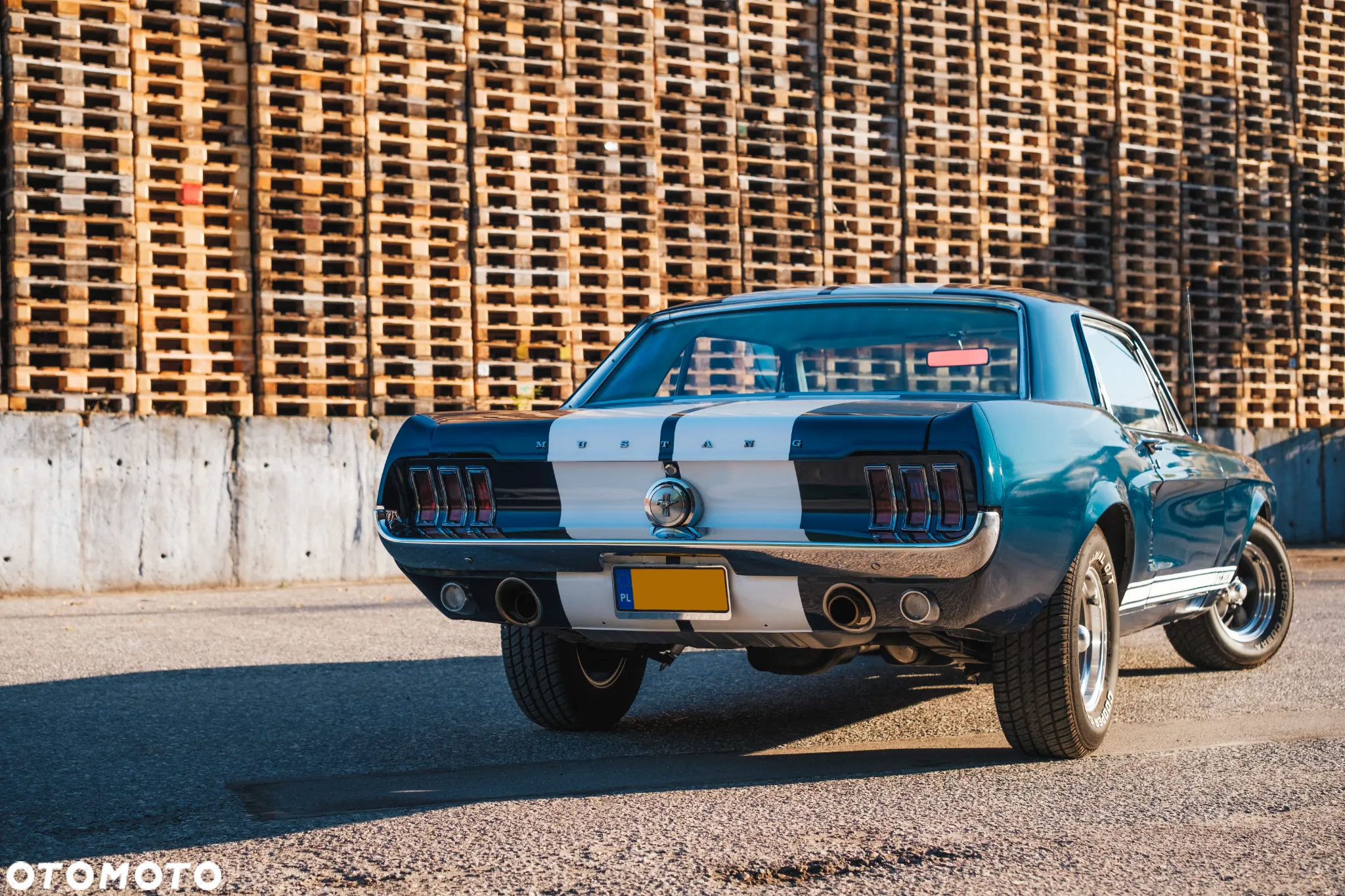 Ford Mustang - 8