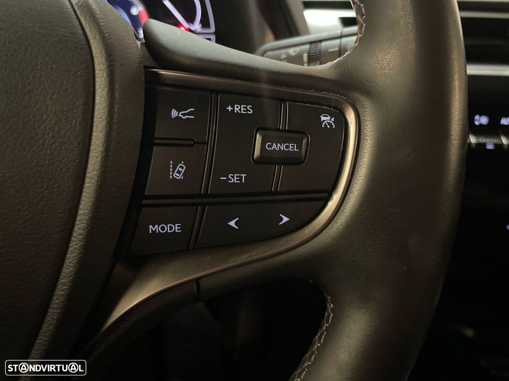 Lexus UX 250h Special Edition (LCA) - 17