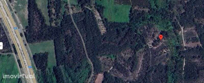 Terreno rústico em zona florestal - Grande imagem: 2/4